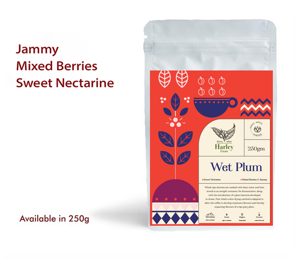 Classic Wet Plum – Classic Coffee